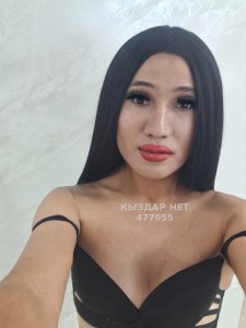 Транс Актау Транс№477955 Сиви новинкая Фотография №3701170