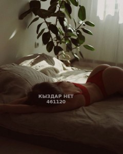 Проститутка Алматы Анкета №461120 Фотография №3705636