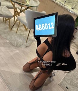Проститутка Алматы Девушка№486012 Айлуна Боди с Продолжением Фотография №3710230