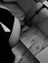 Фотография №3732025